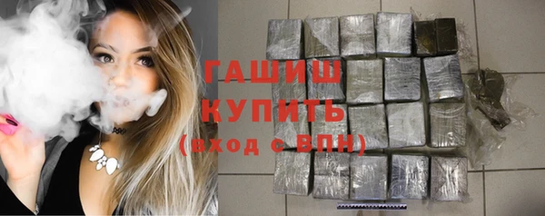 прущие грибы Алзамай