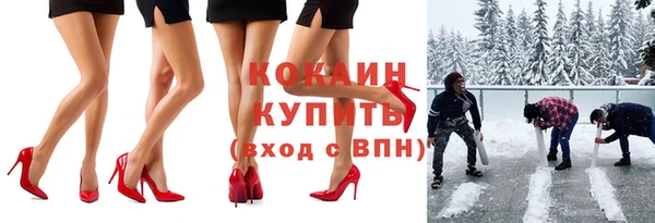 прущие грибы Алзамай