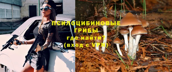 прущие грибы Алзамай