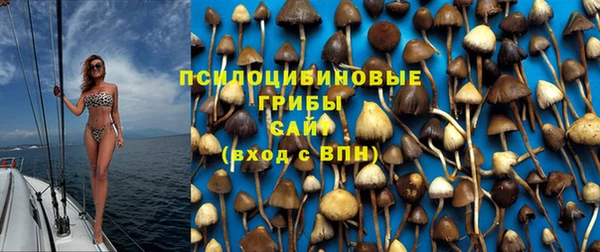 не бодяженный Алексин