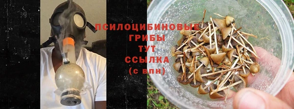 прущие грибы Алзамай